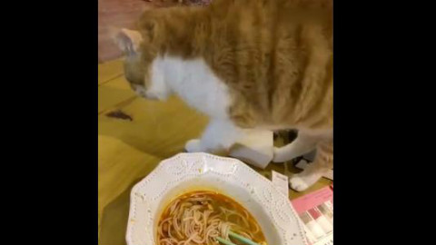 螺蛳粉怎么你了